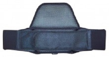 Cleanstar Backpack (VBK) Back Pad & Waist Harness (VBK-WAIST)